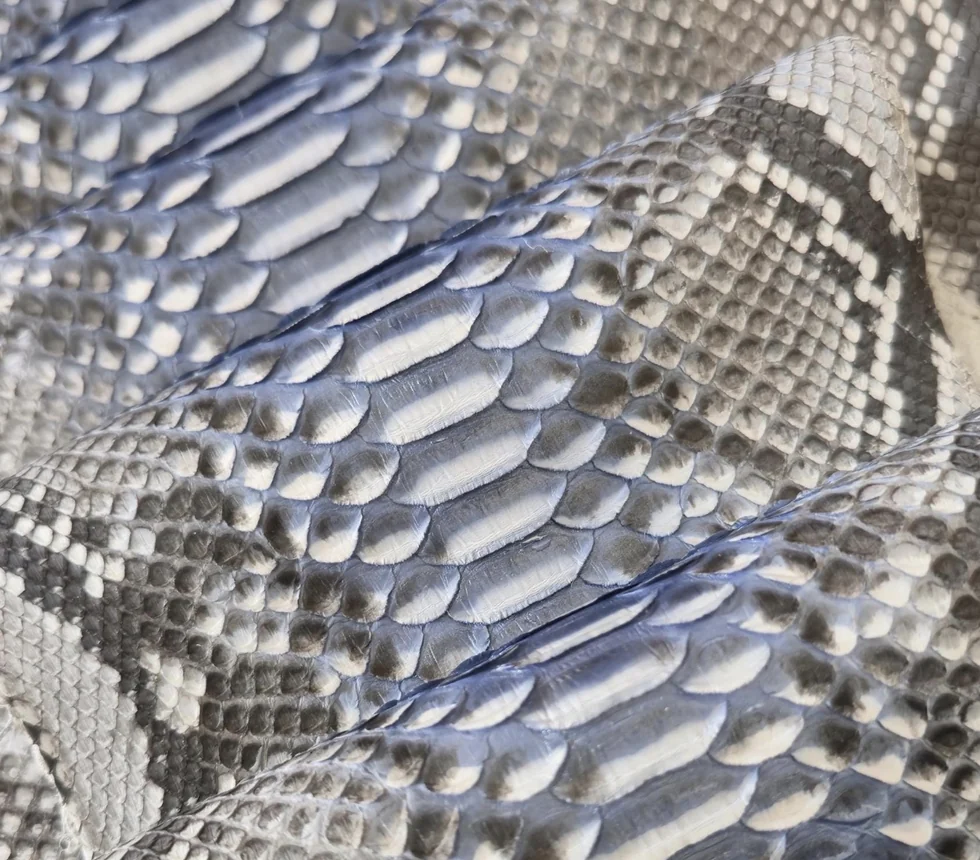 Grey, white and blue python exotic leather close-up