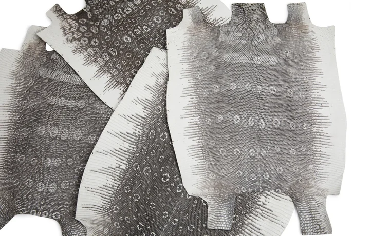 Grey dotted exotic leather pattern